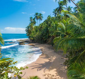 Versteckter Sandstrand in Costa Rica, umgeben von &uuml;ppigen Palmen und t&uuml;rkisblauem Meer.