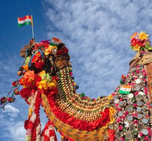 weltweit feiern Januar