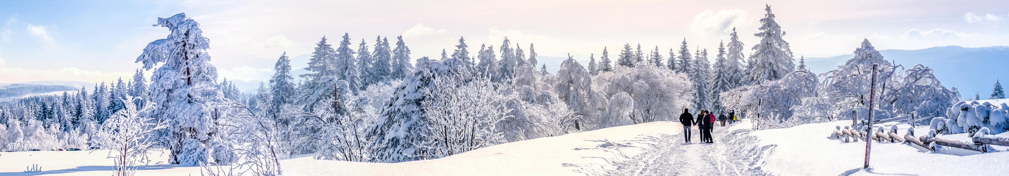 AdobeStock 242683463