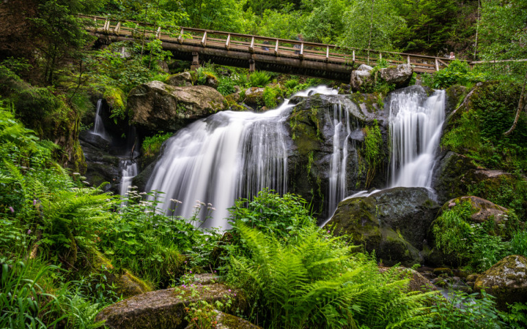 Der Triberg-Wasserfall im Naturwunder Schwarzwald, mit mehreren Wasserfällen, die in klaren Becken herabstürzen, umgeben von üppigem Grün und einem Wanderweg, der über den Wasserfall führt.
