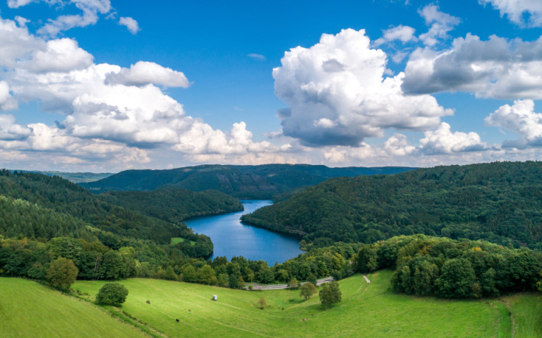 Das Naturwunder Nationalpark Eifel, mit üppigen Wäldern und einem malerischen Stausee, eingebettet in sanfte Hügel und unter einem weiten blauen Himmel.