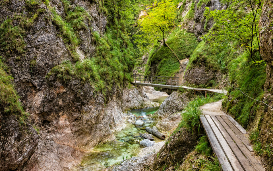 Befestigte Stege an den gr&uuml;nen Felsw&auml;nden der Almbachklamm.