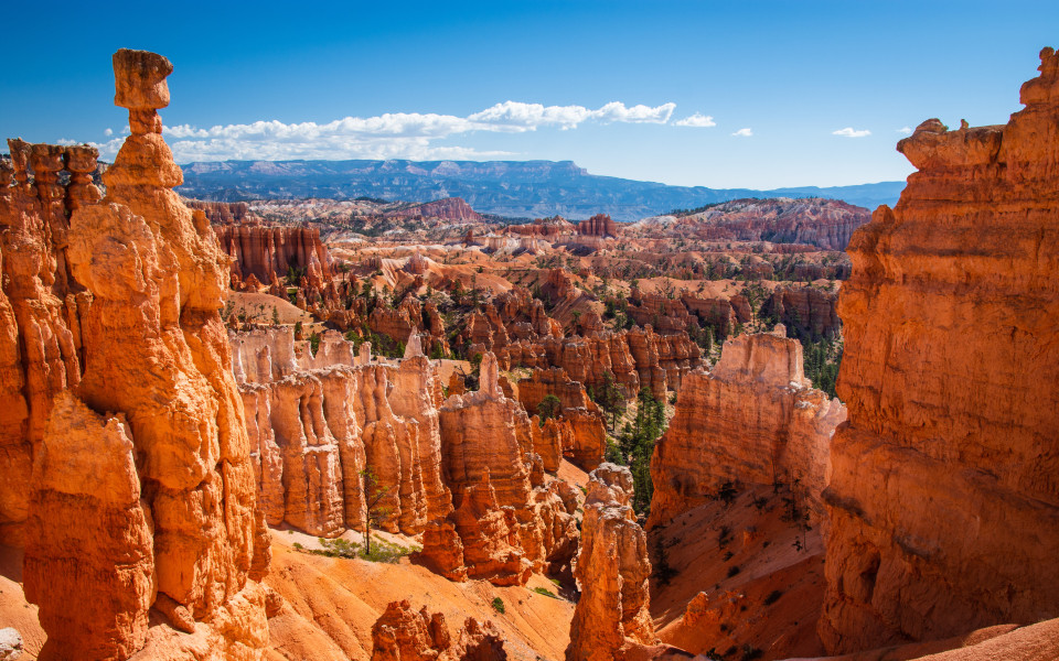 Blick &uuml;ber den Bryce Canyon mit seinen auff&auml;llig geformten, rot-orangefarbenen Felst&uuml;rmen und tiefen Schluchten, unter einem klaren blauen Himmel mit vereinzelten Wolken.